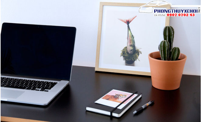 Xương rồng là loại cây thường được anh chị em văn phòng ưa chuộng để trang trí bàn làm việc